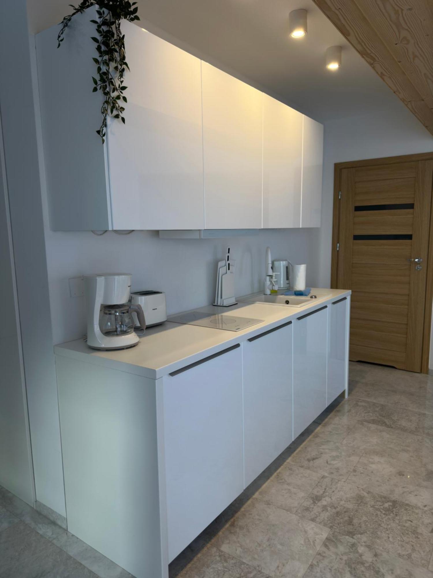 Apartamenty Willa Nika Закопане Экстерьер фото