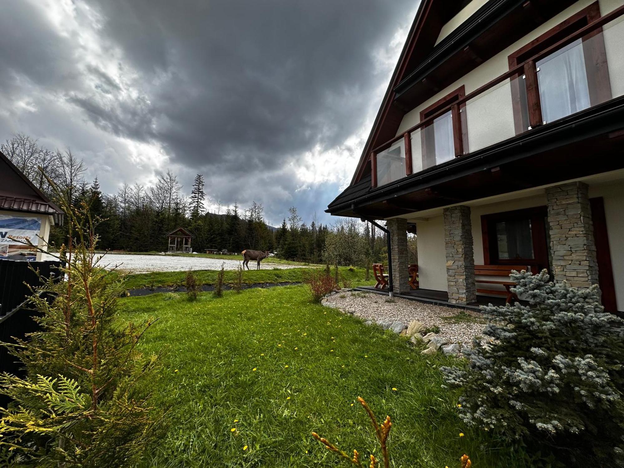 Apartamenty Willa Nika Закопане Экстерьер фото